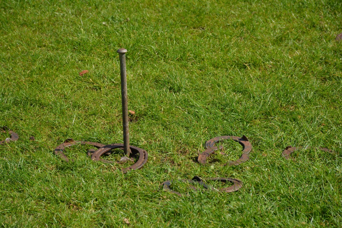 DSC_0008 (Medium).JPG